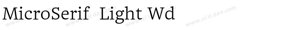 MicroSerif-Light Wd字体转换